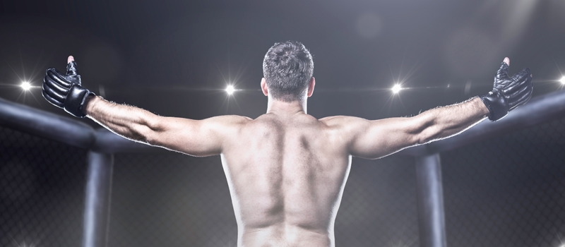 apostas, esportes de combate, estratégias, tendências, ganhos